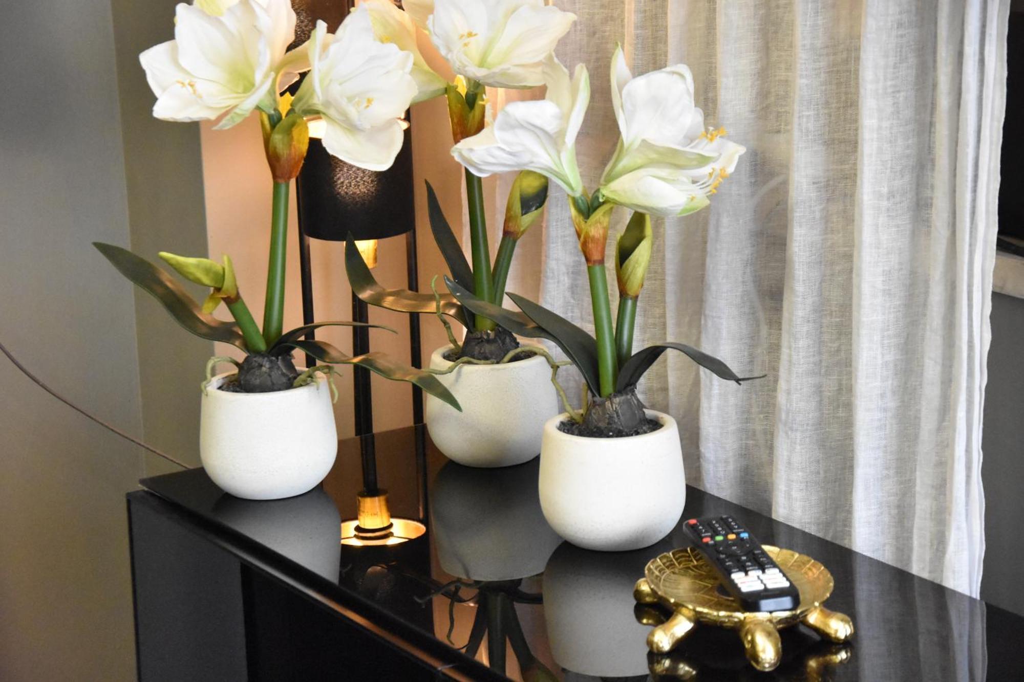 Diasof Apartments Рим Екстериор снимка